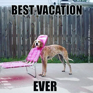 It's Tuesday and we're back! Get your Resale Ranch Fix before Thursday..  Hours this week Tues &amp; Wed, 10 am-3pm