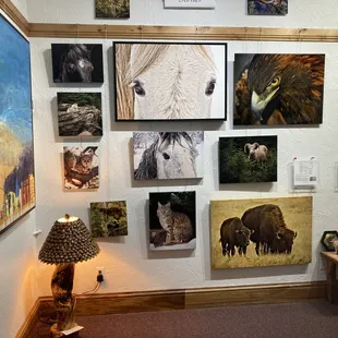 Photography and Lamps