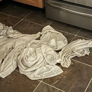 Besides the ID theft, the nasty carpet, this was the WORST 2 wake up too EVERY am!