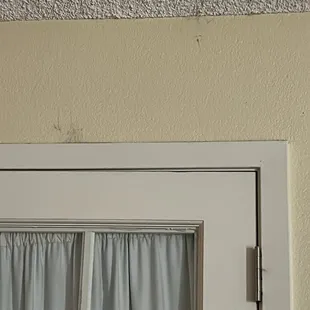 Cobbb webbbsssss where&apos;s the pest control? Oh wait, they don&apos;t offer that.