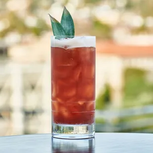 Campus Bird Cocktail