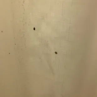 Mold on the shower curtain