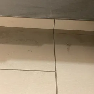 Dirty unmopped floor, hairs on pillow cases and bedsheets , cracks in walls.