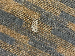 Clarion Hotel Concord/Walnut Creek