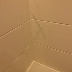 This is a poorly repaired crack in the tile in the shower