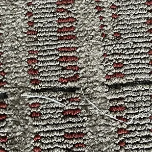 Carpet in room
