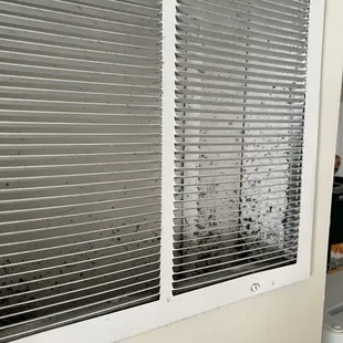 Mold and buildup in the vents throughout