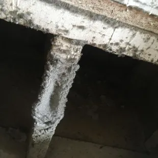 This is what my air duct looked like when I took the screen off.