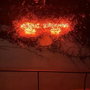 Going into the new year kicking or screaming?