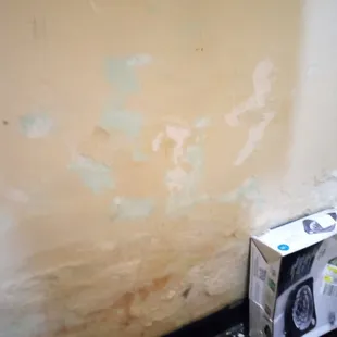 Lead Paint falling off