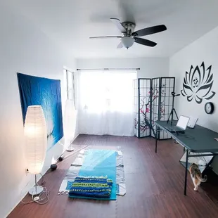 Yoga Lessons Online!