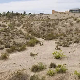 Looking at new shopping center next to Whole Foods