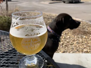 Max Taps