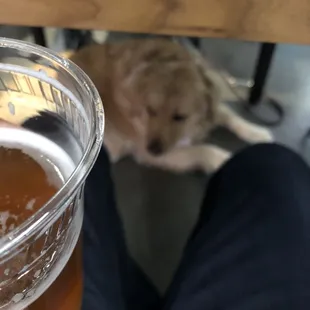 a person holding a glass of beer