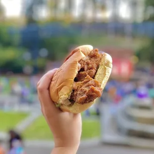 scaregrove at stern grove: regular Fried Chicken Sandwich (10/2024)