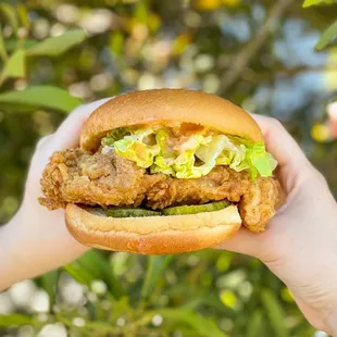 Spicy Fried chicken sandwich