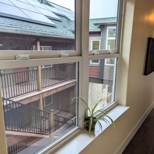Courtyard through the window