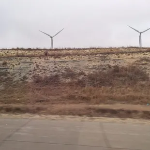 Nice to see lots of wind turbines out here