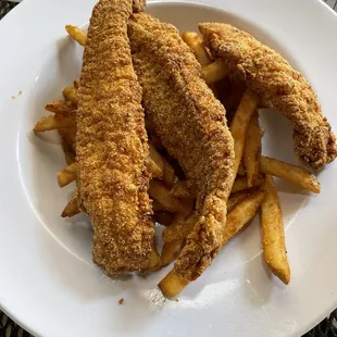 Fried catfish and fries