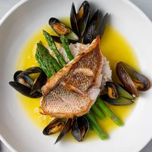 a plate of steamed fish and asparagus