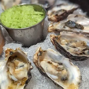 East Coast Oysters