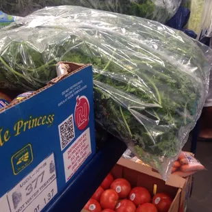 My veggie for a juicing week of detox.... hopefully I survive...