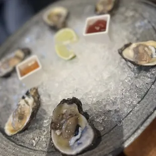 Fresh Oysters on the Half Shell
