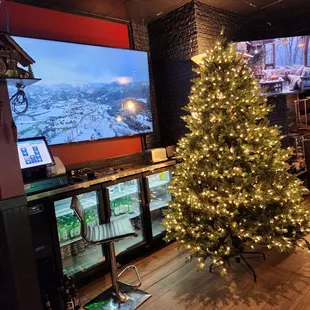 a christmas tree in front of a tv