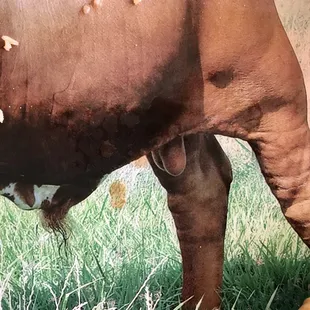 This pic is actually on our table. Hungry yet?