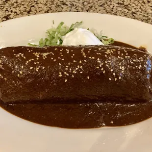 Chicken Mole Enchilada