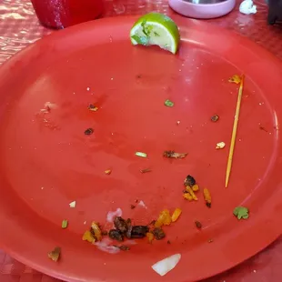 Empty plate