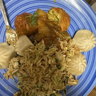 Chicken Momo, Vegetable Chili Momo and egg fried rice