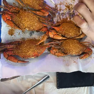 Small crabs