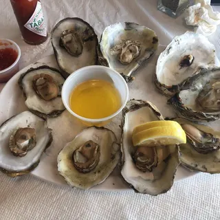 Oysters