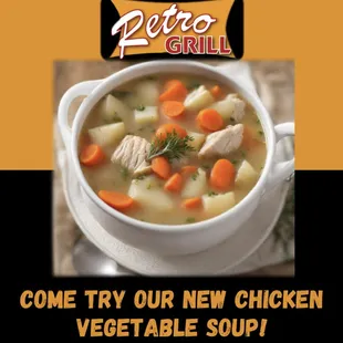 a bowl of chicken vegetable soup