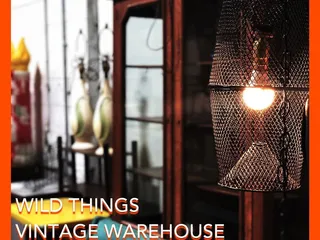 Wild Things Antiques