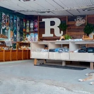Retrospect Skateshop &amp; shop pup, Bones!