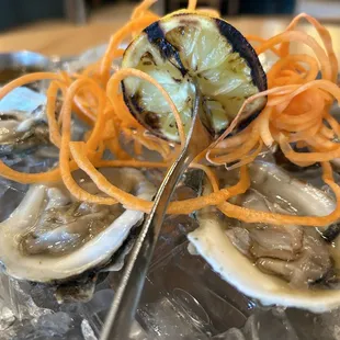 Oysters ( seasonal special)