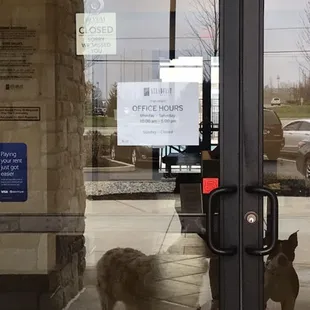 To add on, this photo was taken 10 minutes ago (I screenshot the photo on my iPhone for a time stamp), office was supposed to open at 10am..