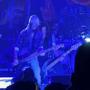 Rex &amp; Frankie! Bassist's in harmony!