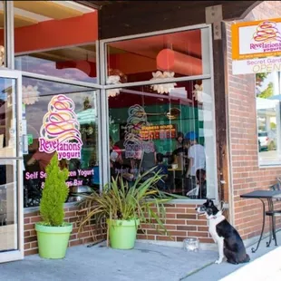 a dog sitting outside a store