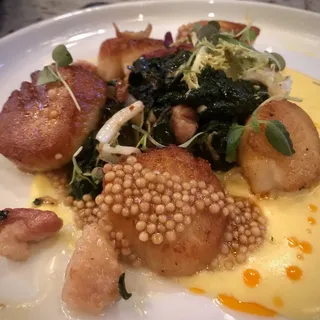 Seared Scallops