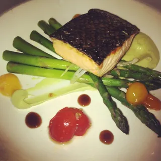 Scottish Salmon