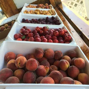 a variety of fruits