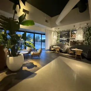 Revival lounge