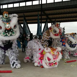 Traditional Tiger Dance for Chinese New Year Celebration at Revolver Brewery