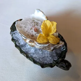 4/9/22 Moondancer Oyster - Grapefruit, Champagne Vinaigrette, Cucumber Foam, Cucumber Flower