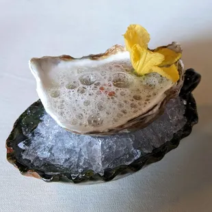 4/9/22 Moondancer Oyster - Grapefruit, Champagne Vinaigrette, Cucumber Foam, Cucumber Flower