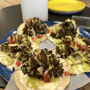 Miatake mushroom taco