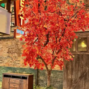 Decor